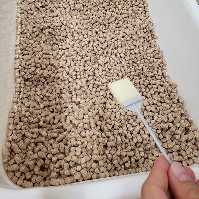 ウロキャッチャー2.jpg