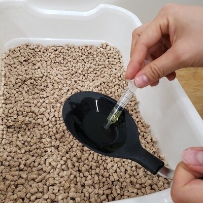 お玉2.jpg
