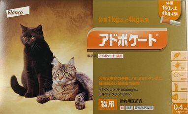 アドボケート写真.jpg