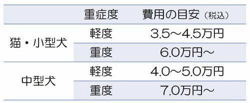 歯科処置費用.jpg