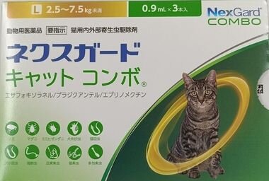 キャットコンボ写真.jpg