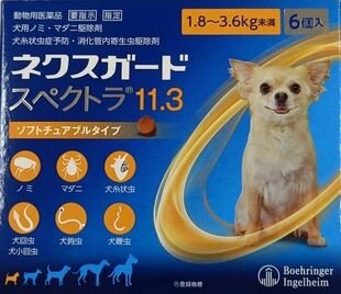 スペクトラ写真.jpg