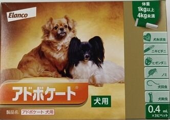 犬と猫のフィラリア予防について
