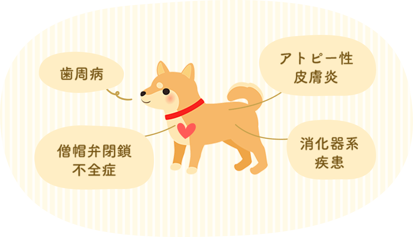 ブリード別犬がかかりやすい病気